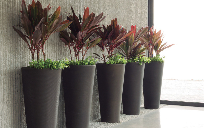 4 planters with the same plants