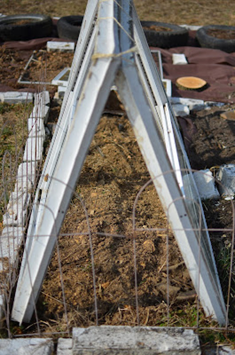 Recycled Window Cold Frame