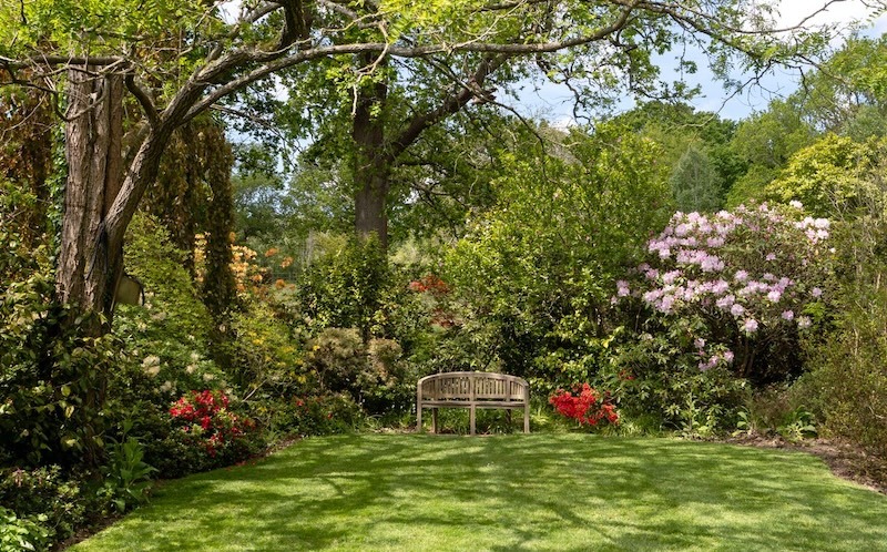 A tranquil garden scene featuring a bench surrounded by rhododendrons