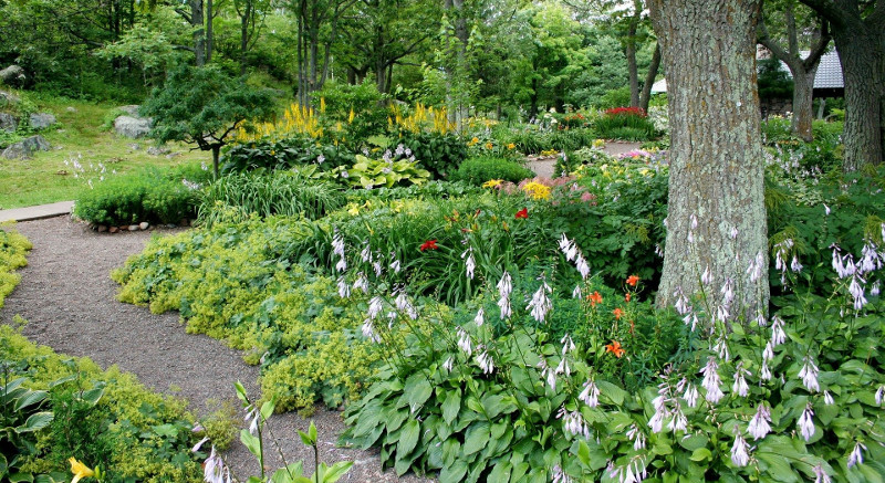 varieties of gardening plants at the park