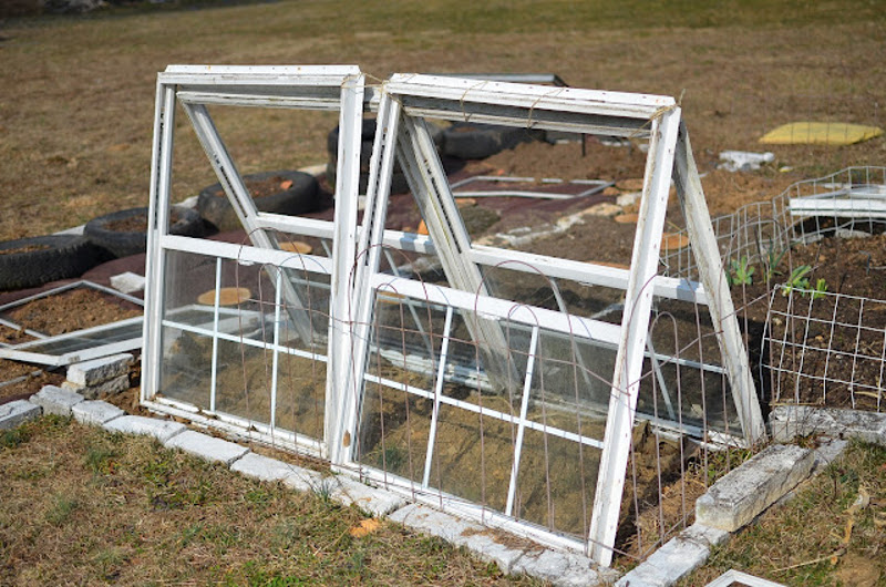 DIY Cold Frame with Old Windows