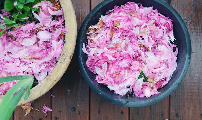drying flower petals