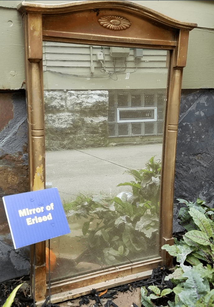 Mirror of Erlsed