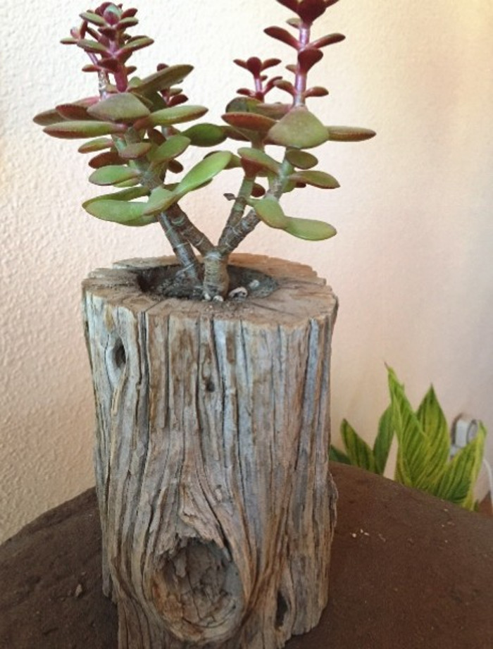 old post succulent planter