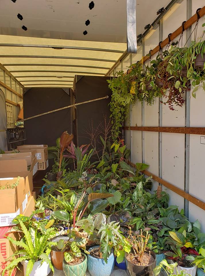 Moving Truck With Hanging Plants