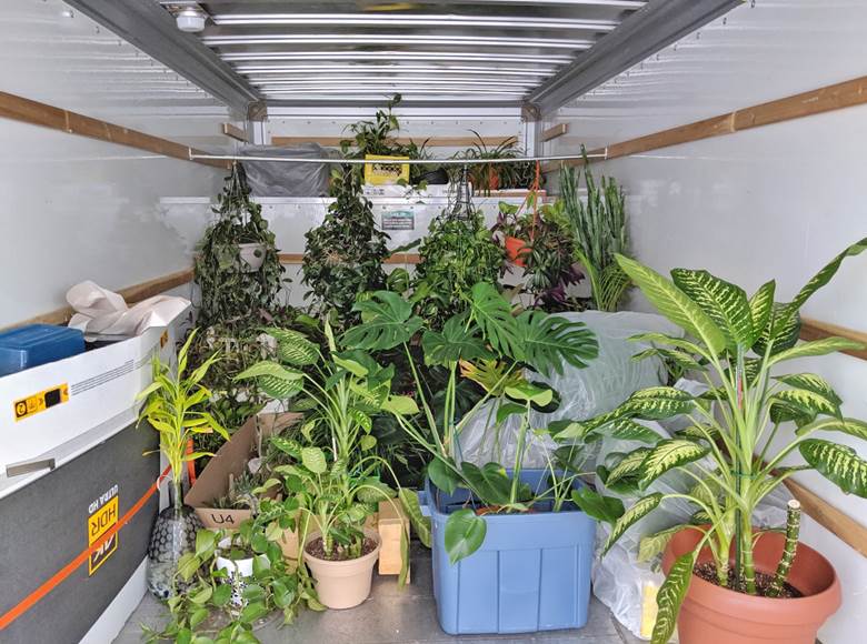 Uhaul Full Of Plants