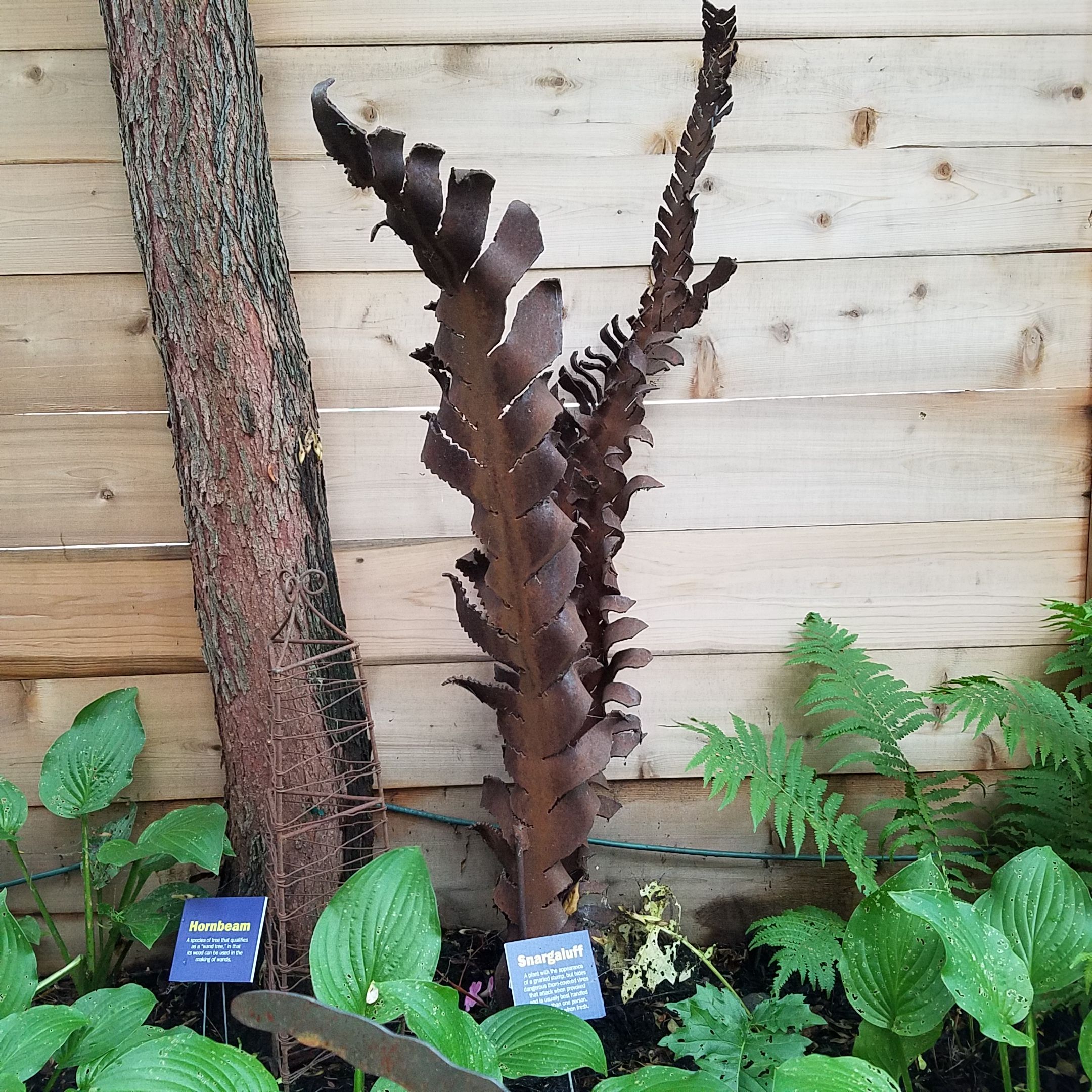Hornbeam Plant
