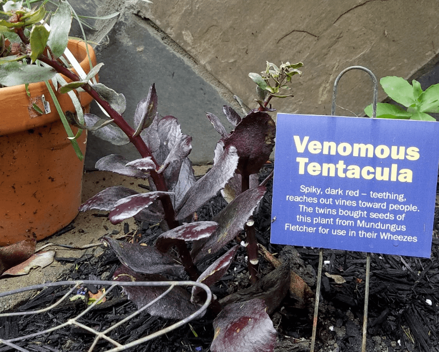 Venomous Tentacula
